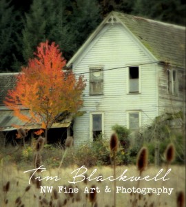 Yesterday A Dream Away