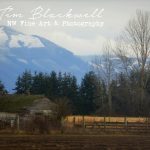 Skagit County Barn II