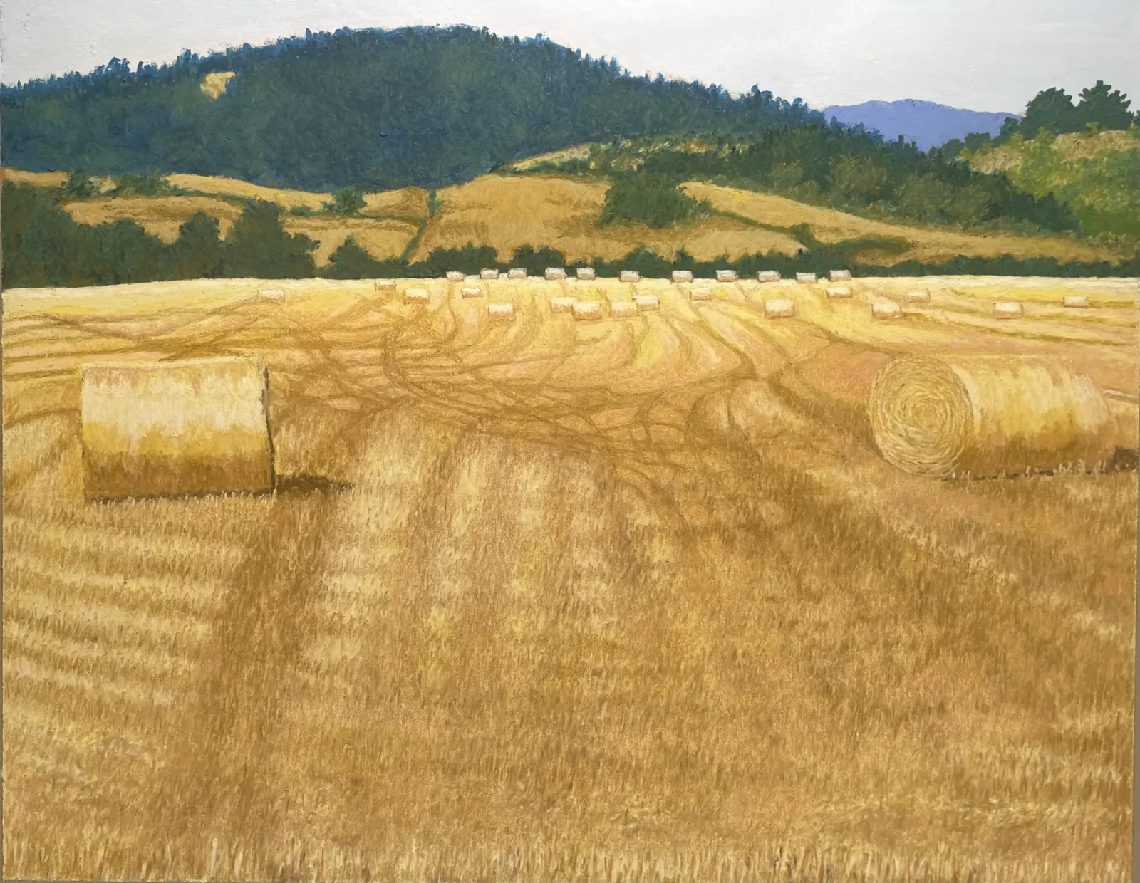 Stubble & Gold — pastel painting of golden harvested fields by Tim Blackwell