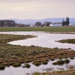 Rainfall’s Patterns