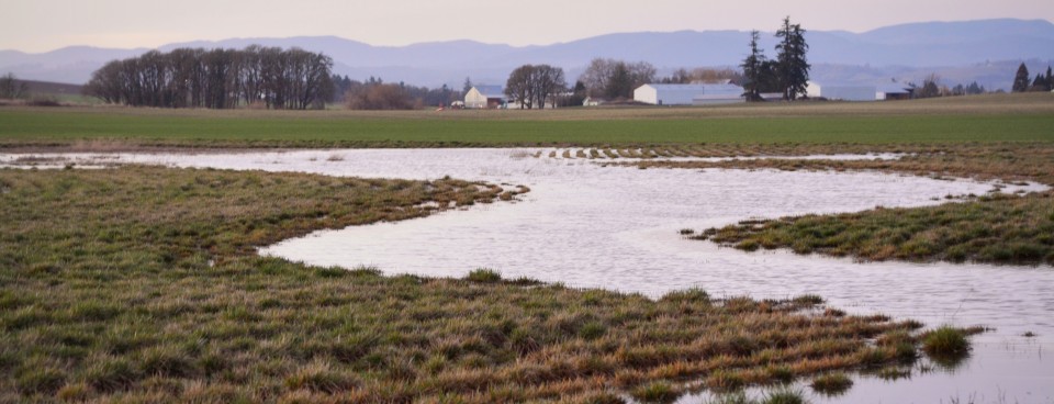 Rainfall’s Patterns