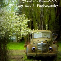 Growing Old Together