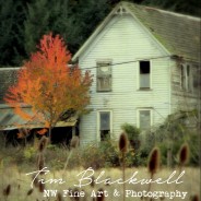 Yesterday A Dream Away