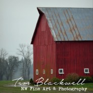 Rusted Tin and Weathered Boards