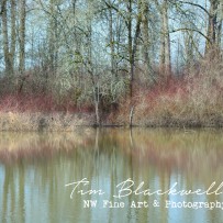 Still Water’s Silence