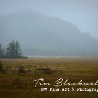 Quiet Still of Morning Mist