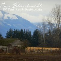 Skagit County Barn II